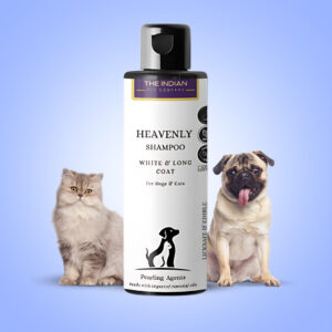 shampoo for white Pomeranian