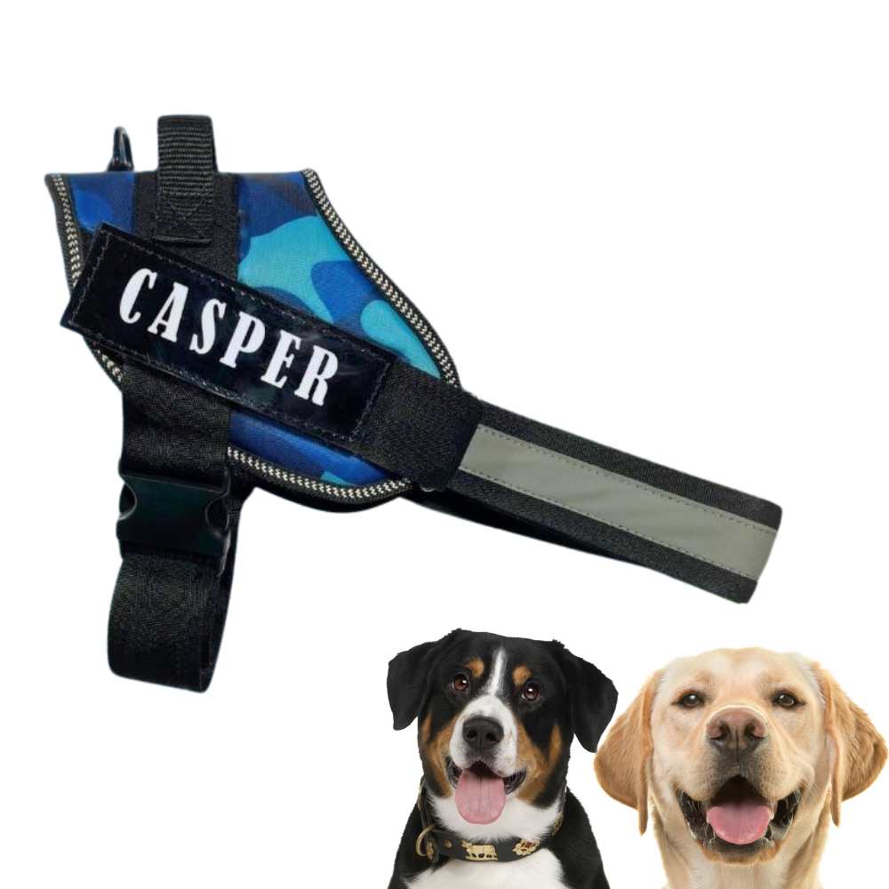 Customized Dog Harness with Name Comfortable Reflective No Pull All Breed Safety Lock Tags Ideal for Walks Runs Training I Army Blue The Indian Pet Company Luxury Pet Products