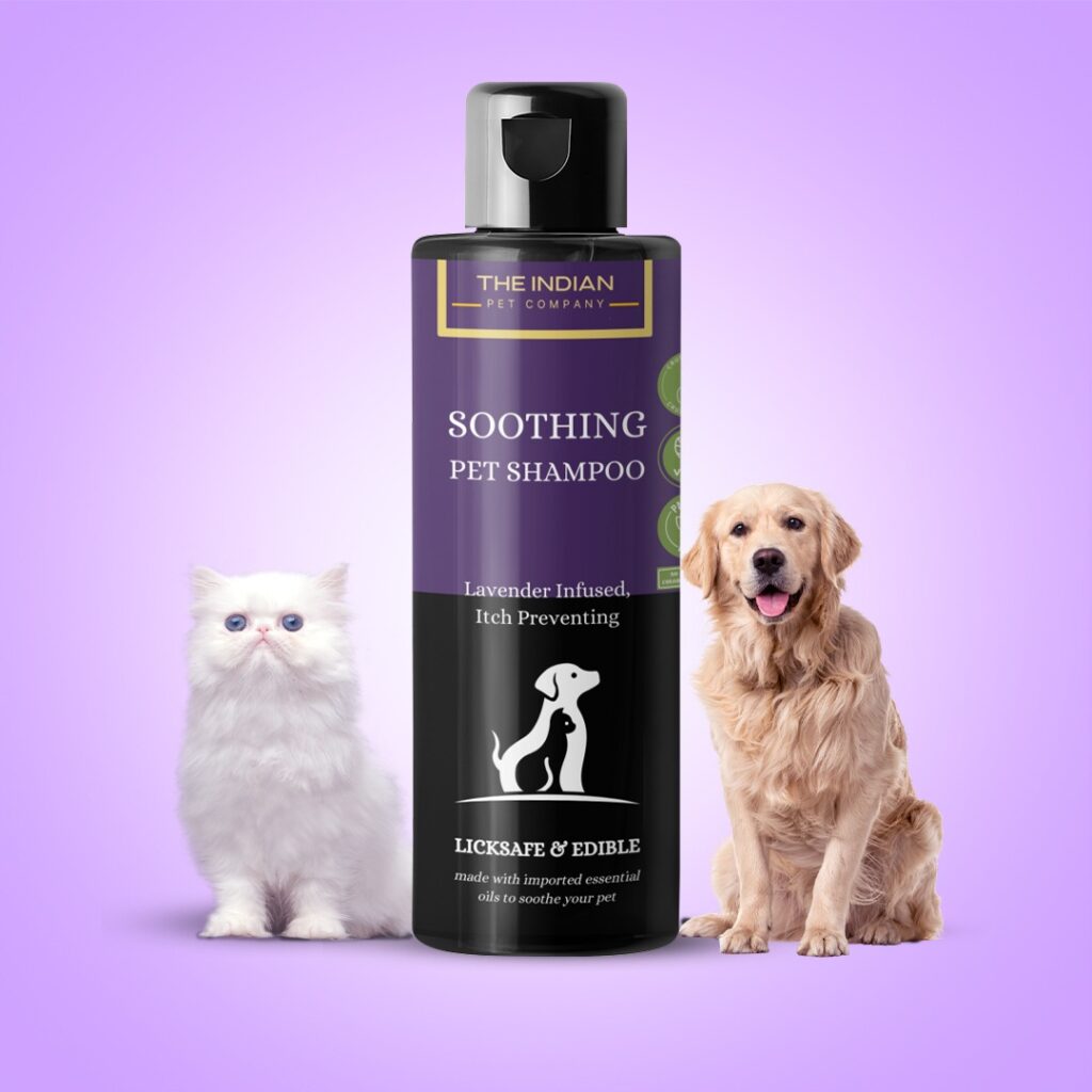 The Indian Pet Company Soothing Pets shampoo 200ml Best seller pet shampoo on Amazon