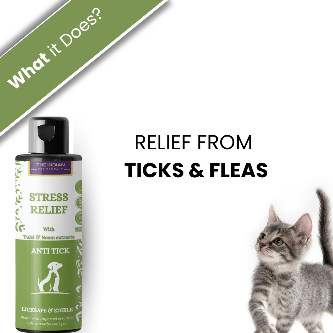 tick and flea shampoo for dogs