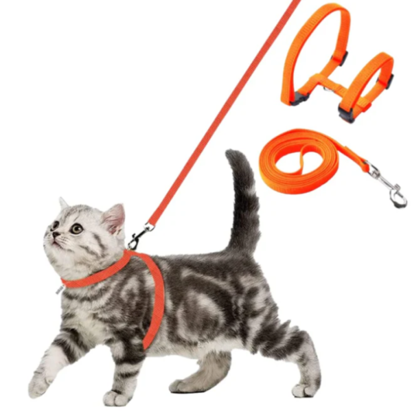 cat harness