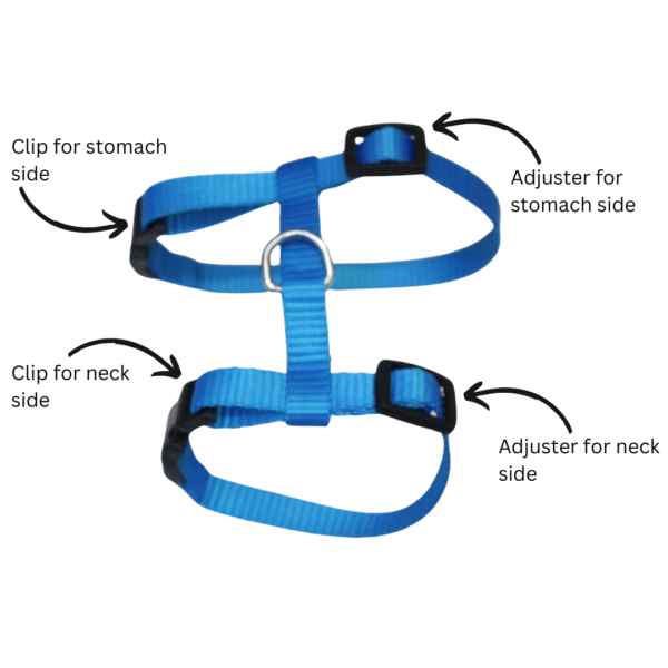 cat_puppy body harness 3 (3)