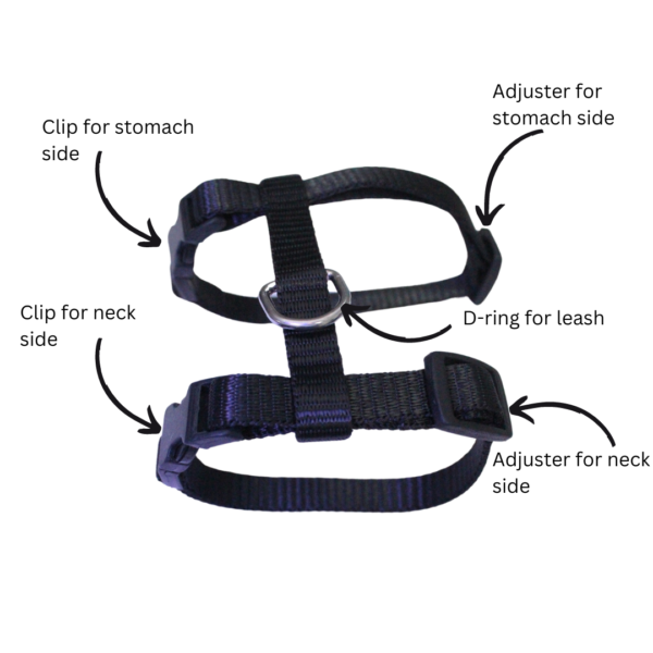 cat_puppy body harness 4 (2)