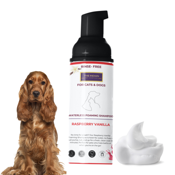 Raspberry Vanilla the indian pet company dry shampoo for winters pets and dogs