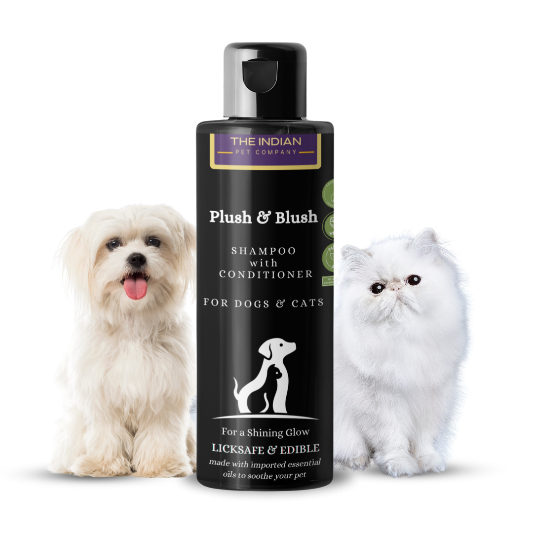 Detangle shampoo with conditioner for dogs and cats Detangle shampoo with conditioner for dogs and cats to open knots and soft white fur