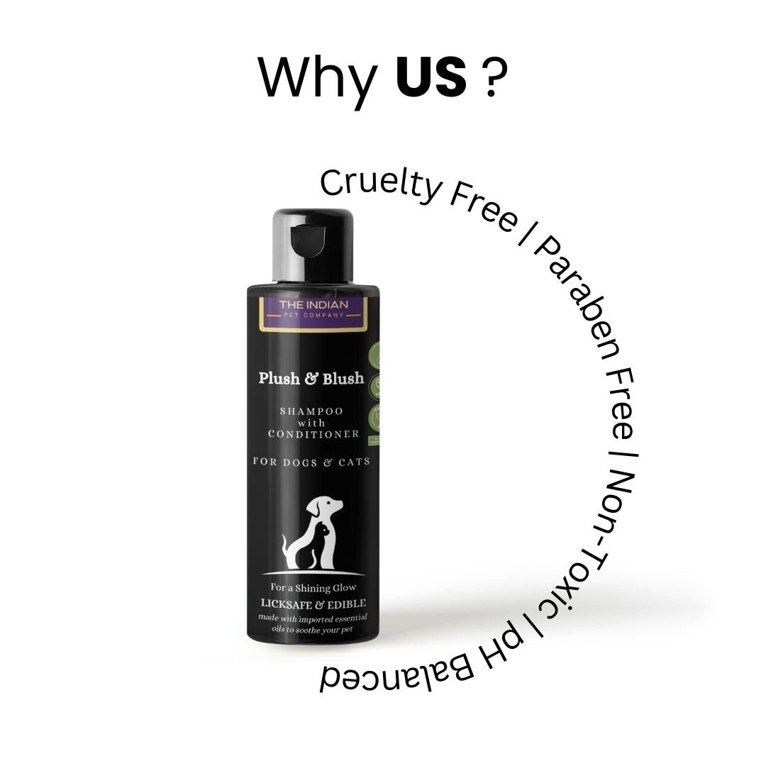 shampoo with conditioner for persian cat shampoo with conditioner for persian cat