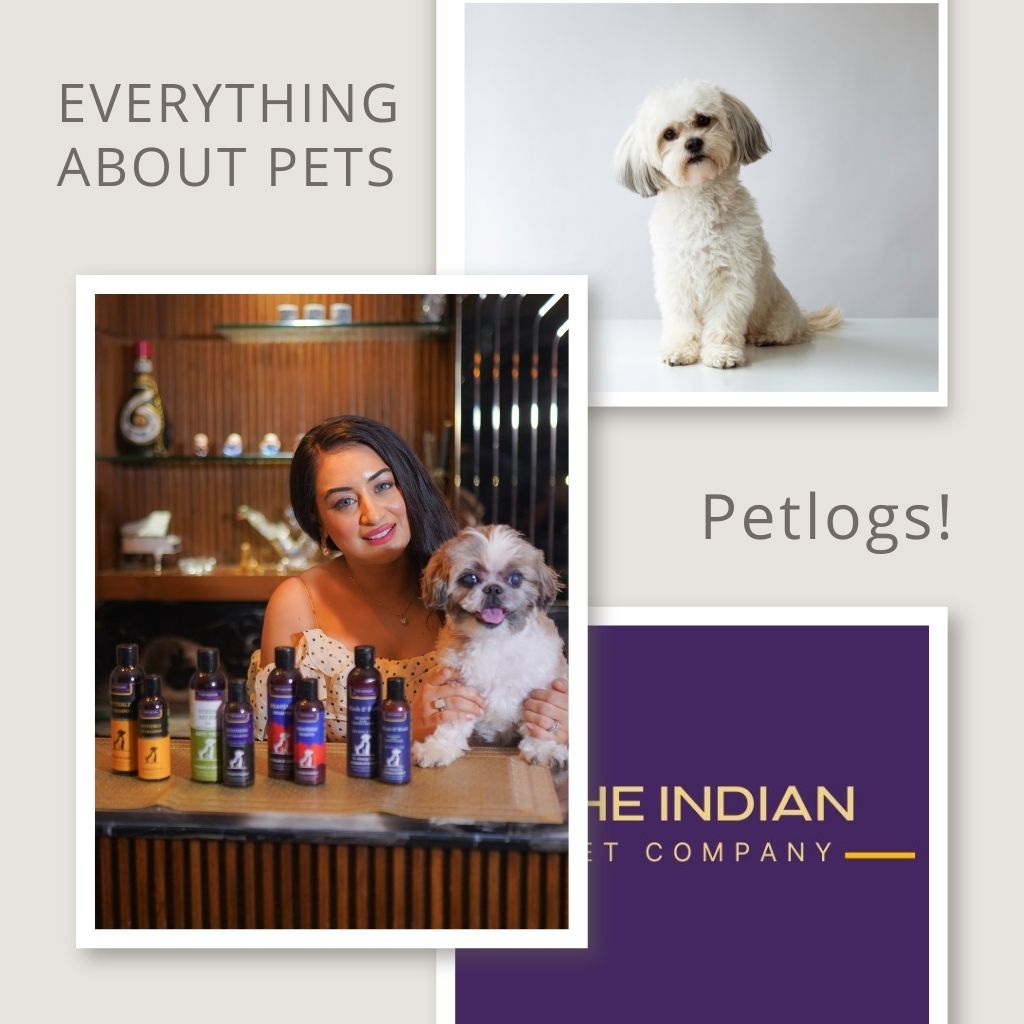 Expert Pet Care: Dog & Cat Grooming with Shampoo for Healthy Skin & Coat"