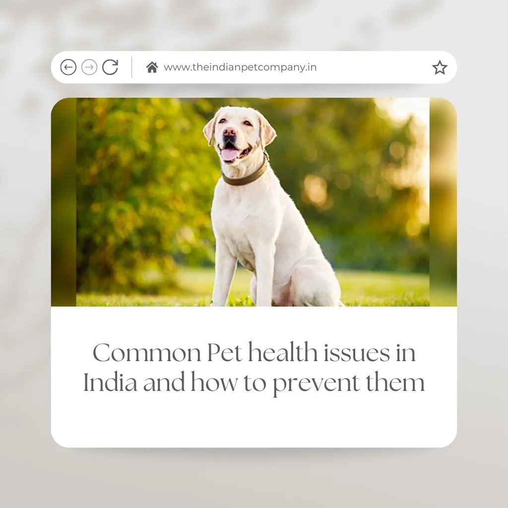 Common Pet Health Issues in India and How to Prevent Them